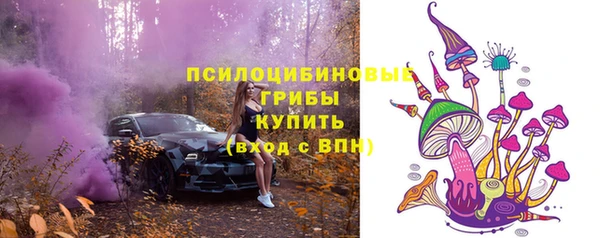 бошки Баксан